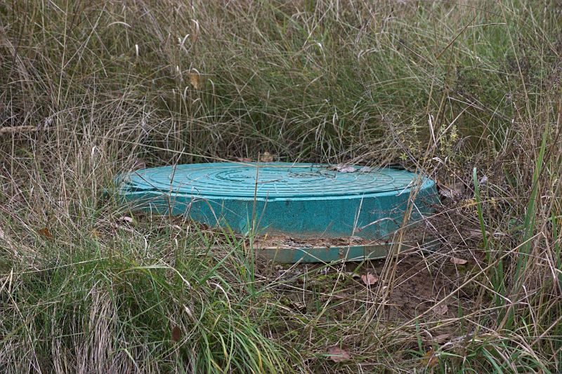 Eco-Friendly Options