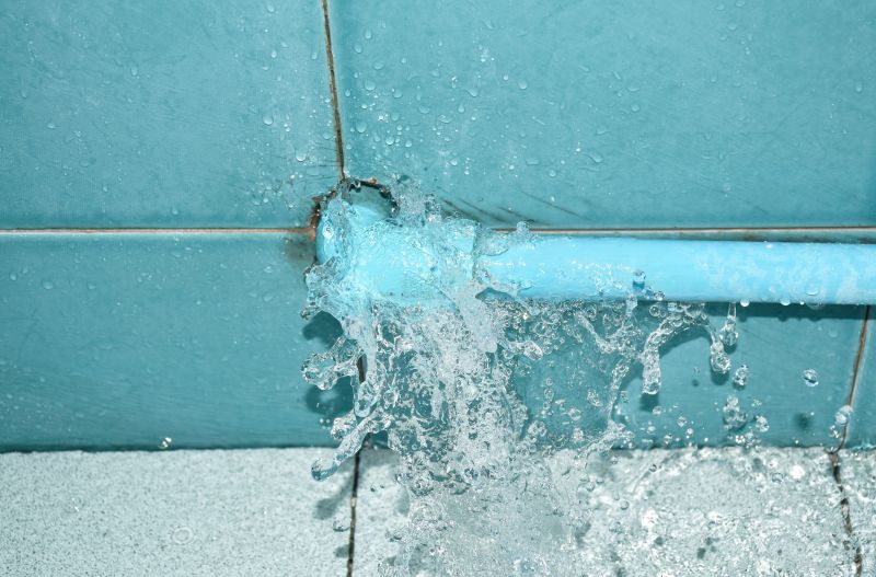 Toilet Leak Repair in Denver, CO