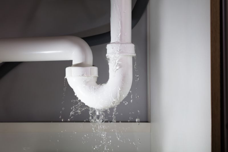 Toilet Leak Repair in Denver, CO