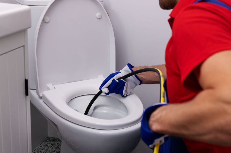 Toilet Plunging in Denver, CO
